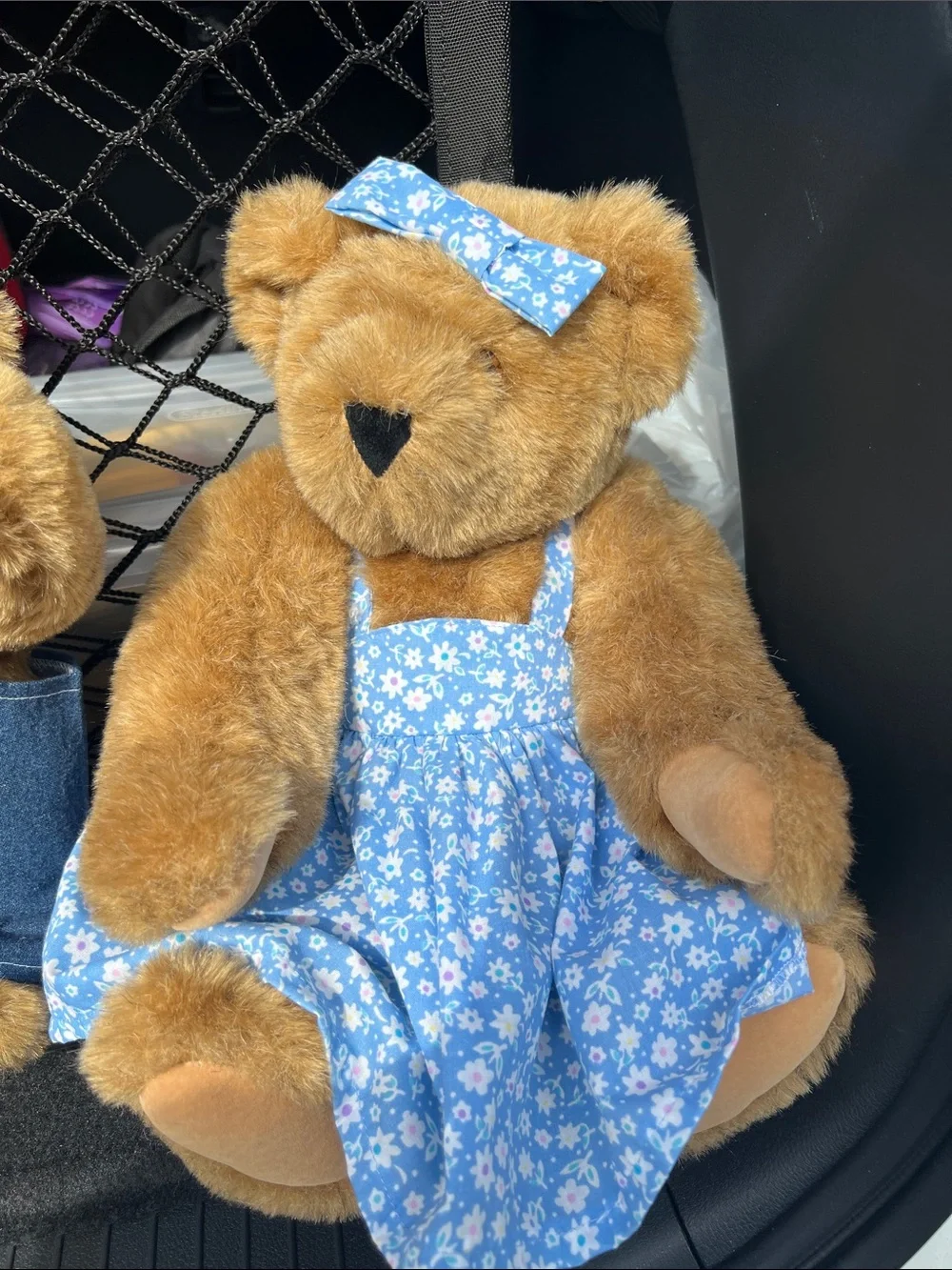 Personalized Brown Plush Teddy Bear Collection in Blue Outfits